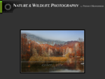 Nature wildlife photography - Φωτογραφία φύσης και άγριας ζωής