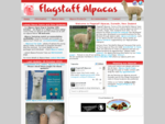 Flagstaff Alpacas - Alpaca Yarn, Alpaca Duvets, Farmstay in Dunedin, New Zealand