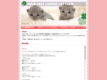 フォーリーフクローバー・キャットクラブ｜Four Leaf Clover Cat Club