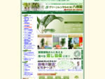 観葉植物のレンタル、リースならオフィス、ホテル、病院あらゆるところに簡単に設置ができます。お客様のご要望・環境にあった観葉植物をレンタルでご提供します。東京・神奈川・愛知・大阪・福岡・沖縄に対応してい