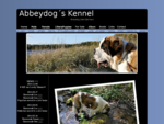 Abbeydog´s Kennel Breeding Saint Bernard