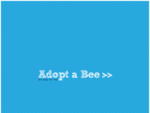 Adopt a Bee