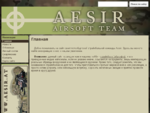 Сайт Санкт-Петербургской Страйкбольной Команды Aesir. Aesir Airsoft Team, Saint-Petersburg, Russ
