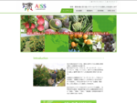 (株)アイズは野菜・果物の輸入取り扱いでワールドワイドに美味しさを追求します