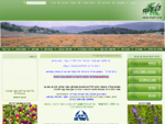 המגוון הגדול בישראל של צמחי מרפא ותמציות בוטניות. מרכז גידול, עיבוד, יבוא ושיווק של צמחי מרפא ותבל