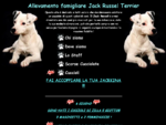 AAA ALLEVAMENTO CANI JACK RUSSELL TERRIER Vendita CUCCIOLI JACK RUSSELL TERRIER