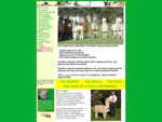 Southern Alpacas Stud - developing the alpaca industry in New Zealand with top genetics, for studs