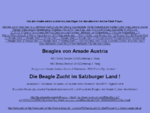 Beagles von Amade Austria Gebhard Rohrmoser