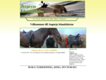 Det är en hemsida för företaget Angeyja Islandshästar. Här hittar du information om turridningar i