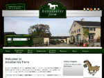 Annaharvey Farm Bed and Breakfast and Equestrian centre Tullamore. Equestrian Holidays and vacatio