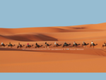 Voyage et excursions dans le désert du sud marocain