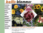 Bellis på Frölunda Torg har krukväxter, snitt blommor och högtider, födelsedagar, binderier till