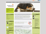 Alle Infos über Schweizer Sennenhunde - Entlebucher Sennenhunde, Welpen, Deckrüden und Züchter so