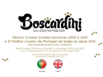 Boscardini Golden Retriever