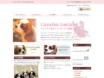 キャバリアの子犬出産情報などCavalier Garland