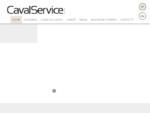 Caval Service Group | Editoria online, giornalismo e servizi per il web