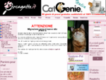 CercaGatto - Se tu cerchi un gatto, un gatto cerca te - Il portale italiano sul mondo dei gatti di