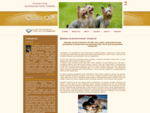 Chluba Oli - Hodowla Psów Australian Silky Terrier