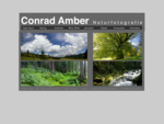 Conrad Amber Photography