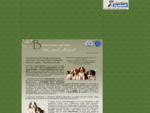 Vendita cuccioli beagle appartenenti alle migliori linee di sangue mondiali e partecipanti ad esposi