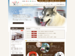 札幌市(円山)にある、犬の幼稚園、保育園、ドッグホテルや出張トレーニングなどを行っているドックトレーニングクラブ。犬のしつけはお任せ下さい。