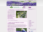 Englischer Lavendel wird in großer Sortenvielfalt für Garten, Balkon und Terrasse angeboten. Die D
