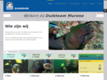 De website van Duikteam Murene Zaandam. De duiksportvereniging voor zaanstad en omstreken!
