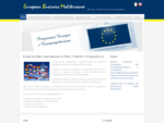 European Business Mediterranee Group è specializzato in Affari, Politiche e Programmi Ue.