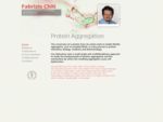 curriculum vitae, research activity and select publications of Fabrizio Chiti