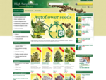 Cannabis Seeds - High Supplies - Cannabis Seeds Shop