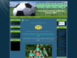 HVB, hjemmeside for årgang 2002 i Himmelev-Veddelev Boldklub