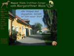 Willkommen auf der Homepage von Drahthaarvizslas vom Margarethner Moos, Österreich.