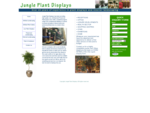 Jungle Plant Displays