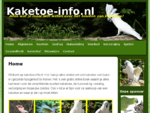 Kaketoe informatie - kaketoes en papegaaien als huisdier