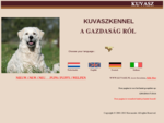 De Kuvasz is in Nederland geen alledaagse verschijning, is een Hongaarse herdershond, Geschiedenis