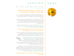 Leaping Hare effective web site design for small businesses