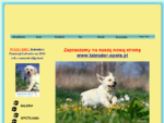 Hodowla psów rasowych labrador retriever Kreuzburg, szczenięta i reproduktory, sprzedaż karmy GILP