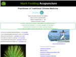 Mark Fielding Acupuncture