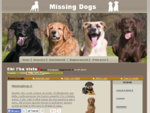 Missing dogs - Cani scomparsi