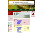 Movimento Turismo del Vino Veneto news, eventi ed iniziative dalle cantine venete socie (cantine ap