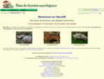Une base de données mycologique interactive avec fiches descriptives et photos de champignons, c...