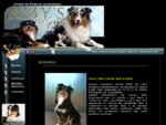 Canil Amys Place, Criadores de cães da raça Pastor Australiano ou Aussie