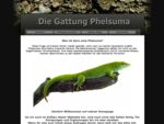 Informationen zur Gattung Phelsuma, alle Arten von Phelsumen, Plattform für Phelsumen-Freunde, Fo