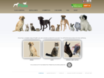 Pilou.fr,Ab7 iv,Produits veterinaires pour animaux domestiques  chien et chat, produits antipar...