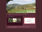 Alba - Piemonte Agriturismo Ristorante bb Terrazza Barbaresco, osteria e locanda affitta camere