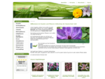 Pflanzen Versand - Baumschule mit Onlineshop - Gardenandmore