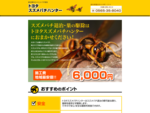 愛知県豊田市でスズメバチの退治を行なう