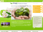Επιστημονικά προγράμματα διατροφής και αδυνατίσματος - Weight free