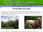 White-Pegasus Horse Riding and Trekking in Papigo, Greece