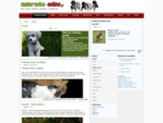 Zwierzeta-Online. pl | Psy, koty, dzikie zwierzeta - rasy, ptaki